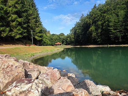 Étang de la Papiermühle