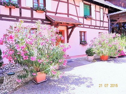 Meublé de tourisme Gîte Rose