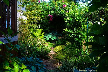Le jardin de Daphnée