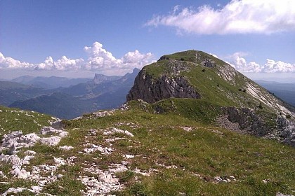 Tête des chaudières