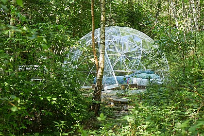 La Bulle du Bois de St Auvent