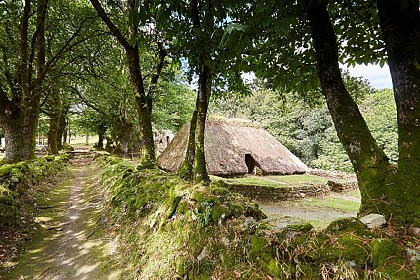 Village de l'an Mil