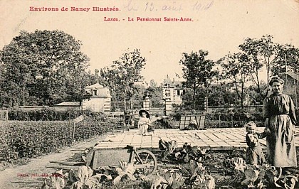 Le domaine Sainte-Anne et ses jardins