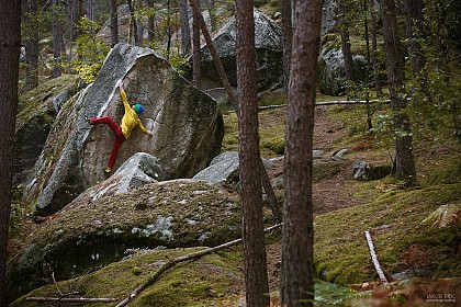 Initiation à l'escalade de bloc en forêt