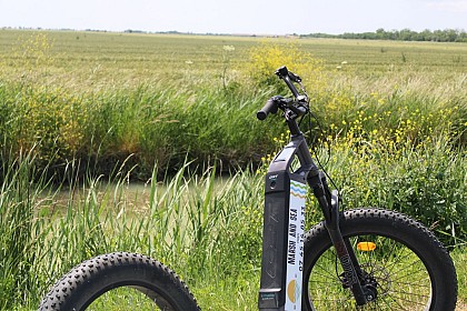 Visite guidée en trottinette électrique