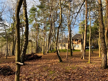 Gîte de la forêt