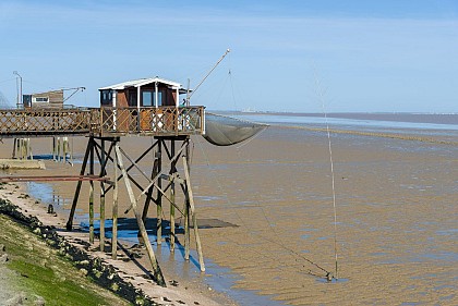 Carrelets de Pauillac