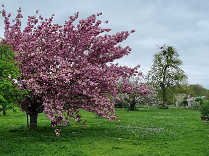 Le Domaine des Caves
