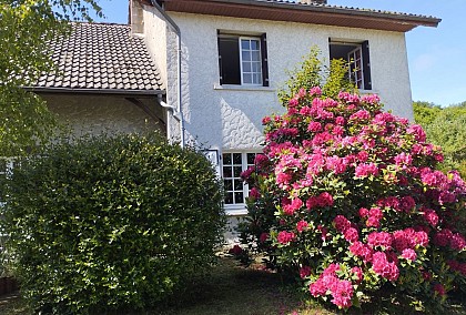 Meublé de tourisme Les Ginkgos