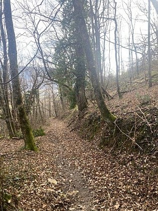 Ancienne voie romaine