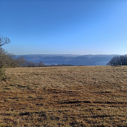 Point de vue