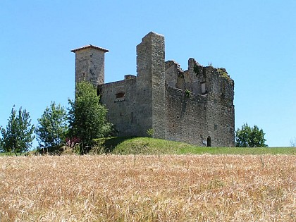 Village et Château de Lagardère