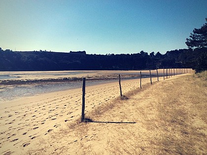 Le marais de Sables d'Or les Pins