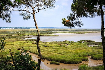 Réserve naturelle nationale des Prés salés d'Arès - Lège Cap Ferret