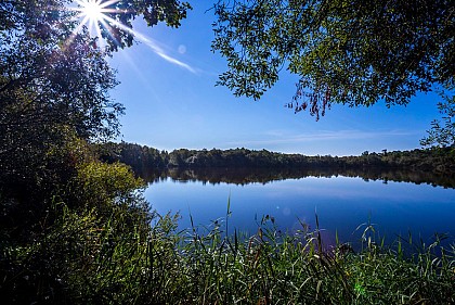 Lagune de Contaut