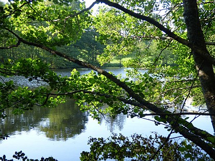 Le domaine du Puymerlin