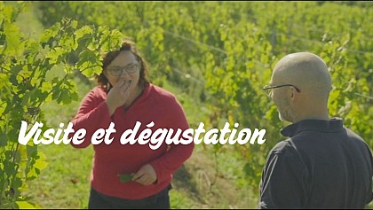 Visite et dégustation au Domaine Bodineau