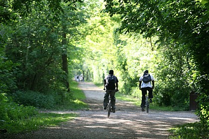 Bois de Vaires