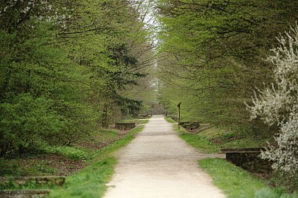 Bois de Lognes
