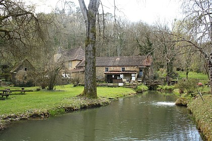 Moulin de papier, ferme aquacole