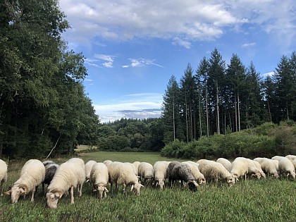 La Ferme de Ventadour