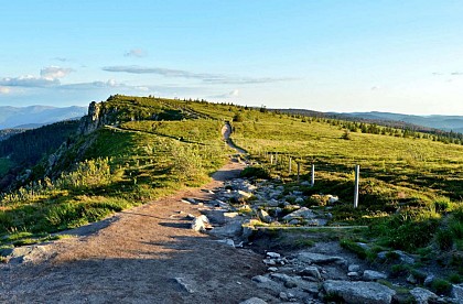 La Réserve Naturelle Nationale de Tanet Gazon du Faing