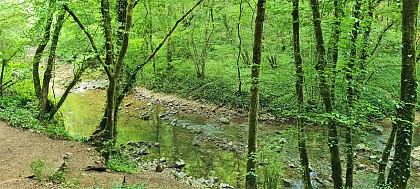 L'Alzou