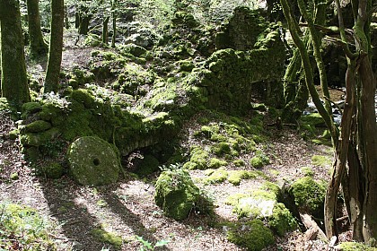 Moulin de Monfreu