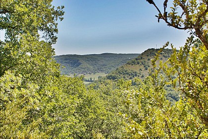 Vue sur la vallée du Célé