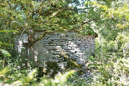 La grangette et la cazelle