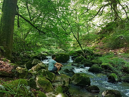 Les eaux vives du Tolerme