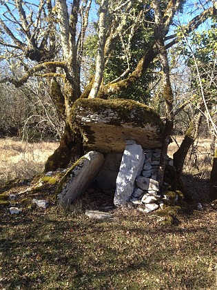 Dolmen des Agars