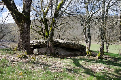 Combe de Saule