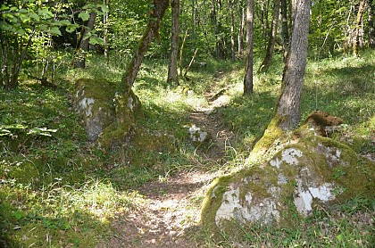 La carrière de meule