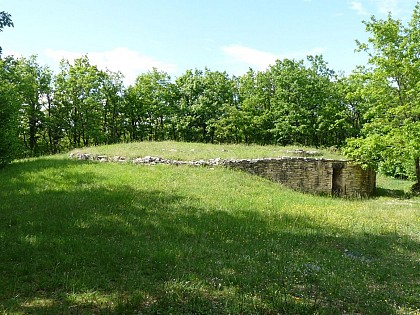 Le dolmen de la Pierre levée