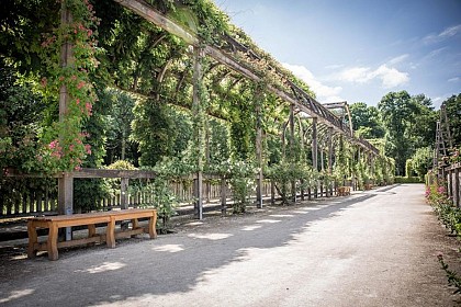 Entre Pithiverais et Forêt d'Orléans
