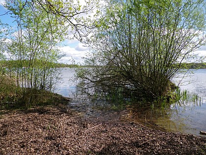 Espace naturel sensible de l'étang du Puits