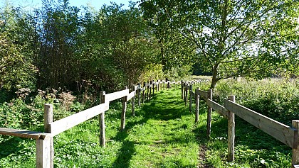 Espace naturel sensible de la prairie du Puiseaux et du Vernisson