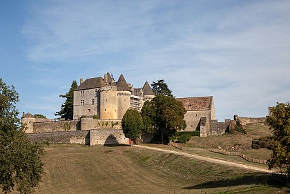 Château de Fénelon
