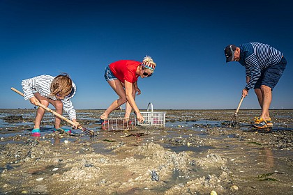 SORTIE PÊCHE A PIED