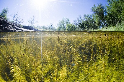 Lac de Saint Namphaise