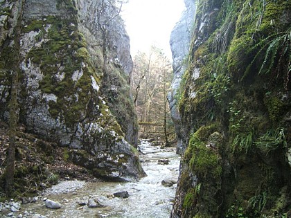 Les portes sarrasines