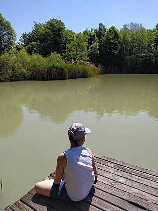 Etang de Colovrex, ENS de l'Ain