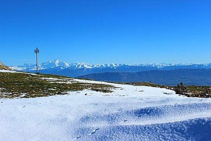 Montoiseau