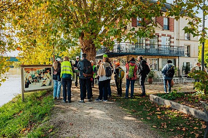 Randonnée culturelle de Chatou à Croissy-sur-Seine "Sur les pas des Impressionnistes "