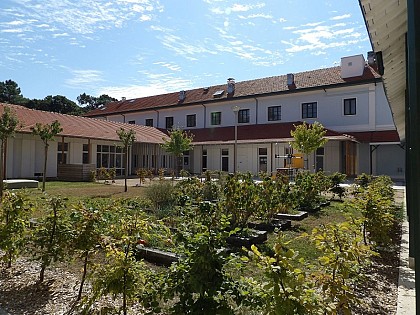 Enfance et découverte