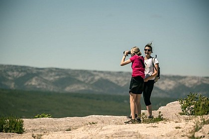 La montagne Sainte-Baume
