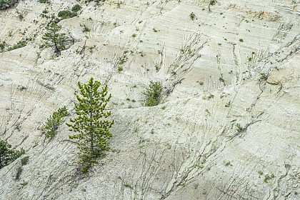 Les argiles blanches sableuses
