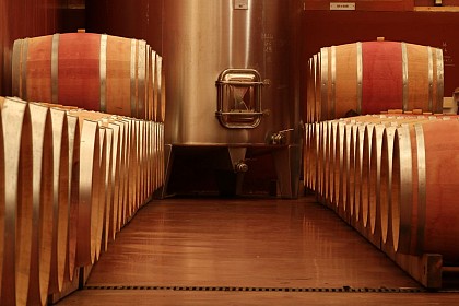 Le Brulhois wine cooperative