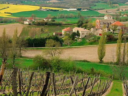 Aire de pique-nique - Ste Juliette